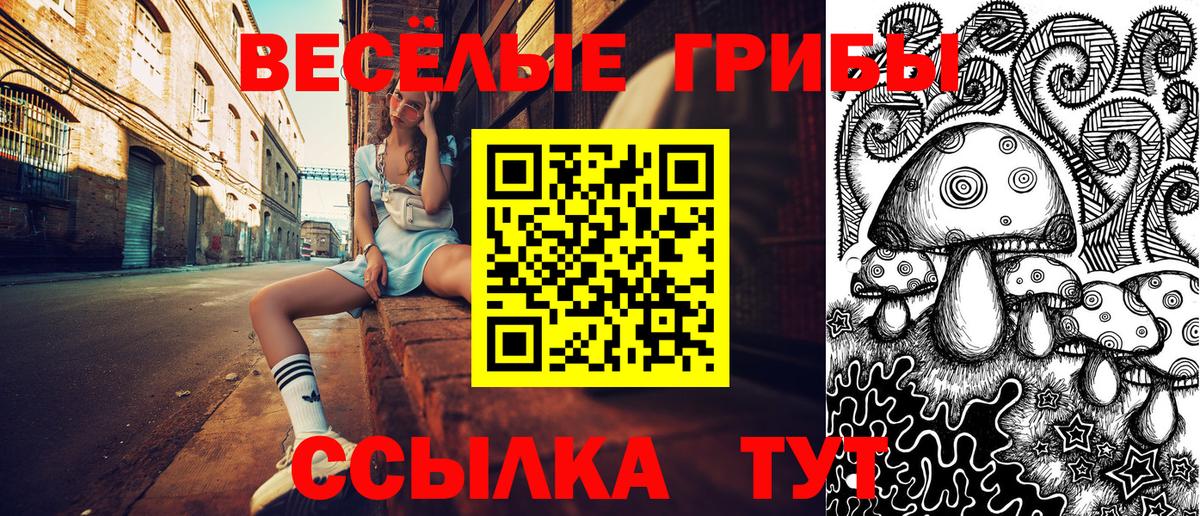 Псилоцибиновые грибы Cubensis Югорск