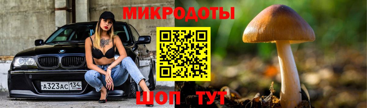 Псилоцибиновые грибы Cubensis  купить  цена  Галлюциногенные грибы Magic Shrooms  Югорск  Вход с VPN 